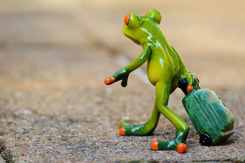 Connecting with Fellow Travelers